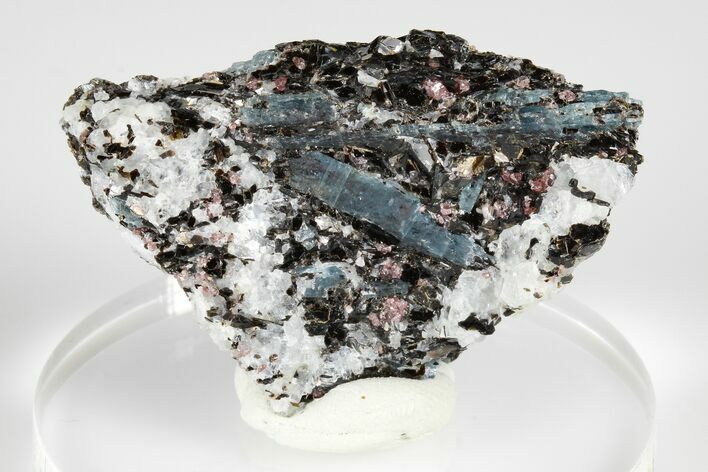 Blue Kyanite & Garnet in Biotite-Quartz Schist - Russia #178940
